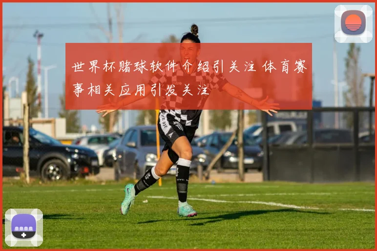 世界杯赌球软件介绍引关注 体育赛事相关应用引发关注