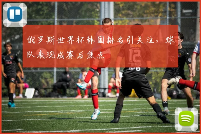 俄罗斯世界杯韩国排名引关注，球队表现成赛后焦点