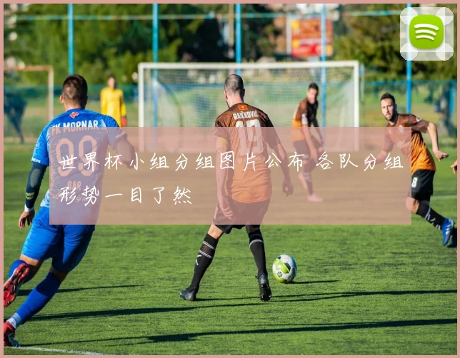 世界杯小组分组图片公布 各队分组形势一目了然