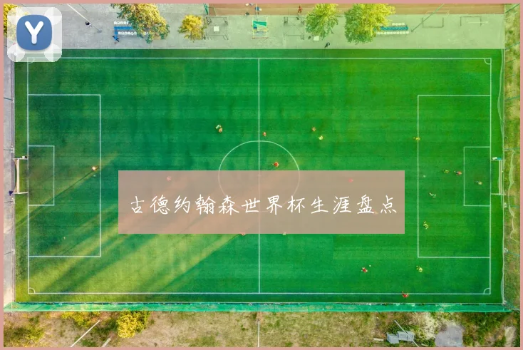 古德约翰森世界杯生涯盘点