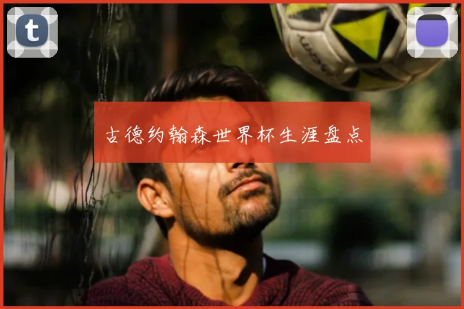 古德约翰森世界杯生涯盘点