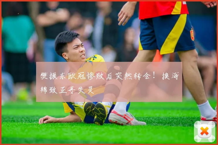 樊振东欧冠惨败后突然转会!换海绵致正手失灵